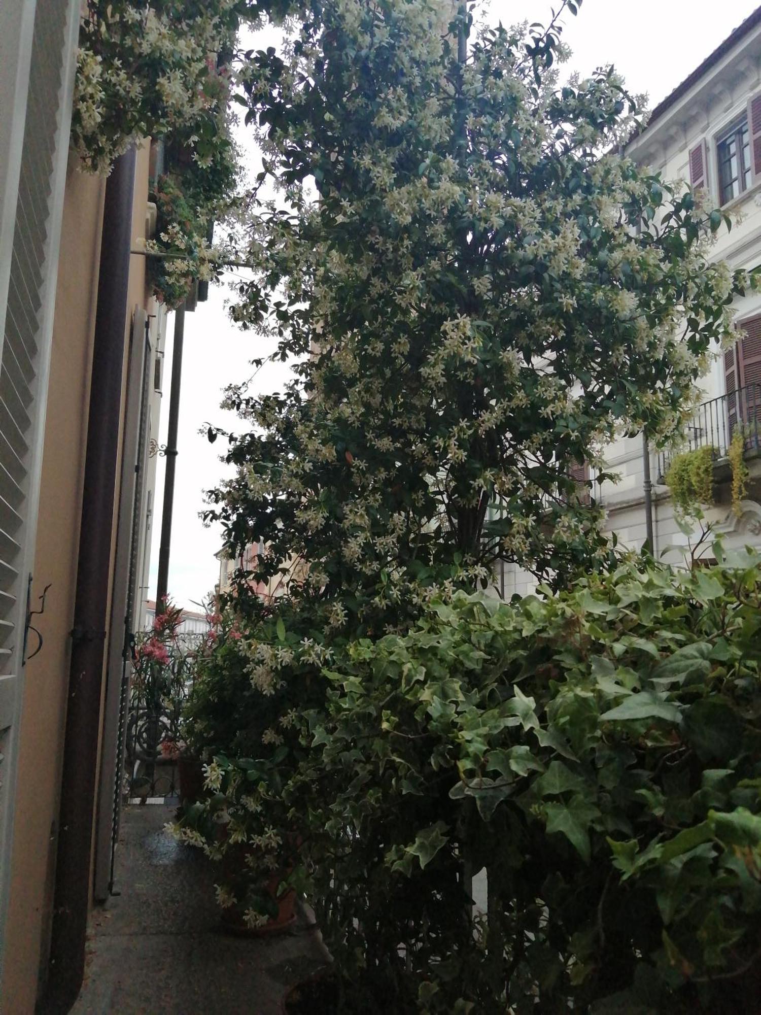 Le Melusine Vercelli Exterior foto
