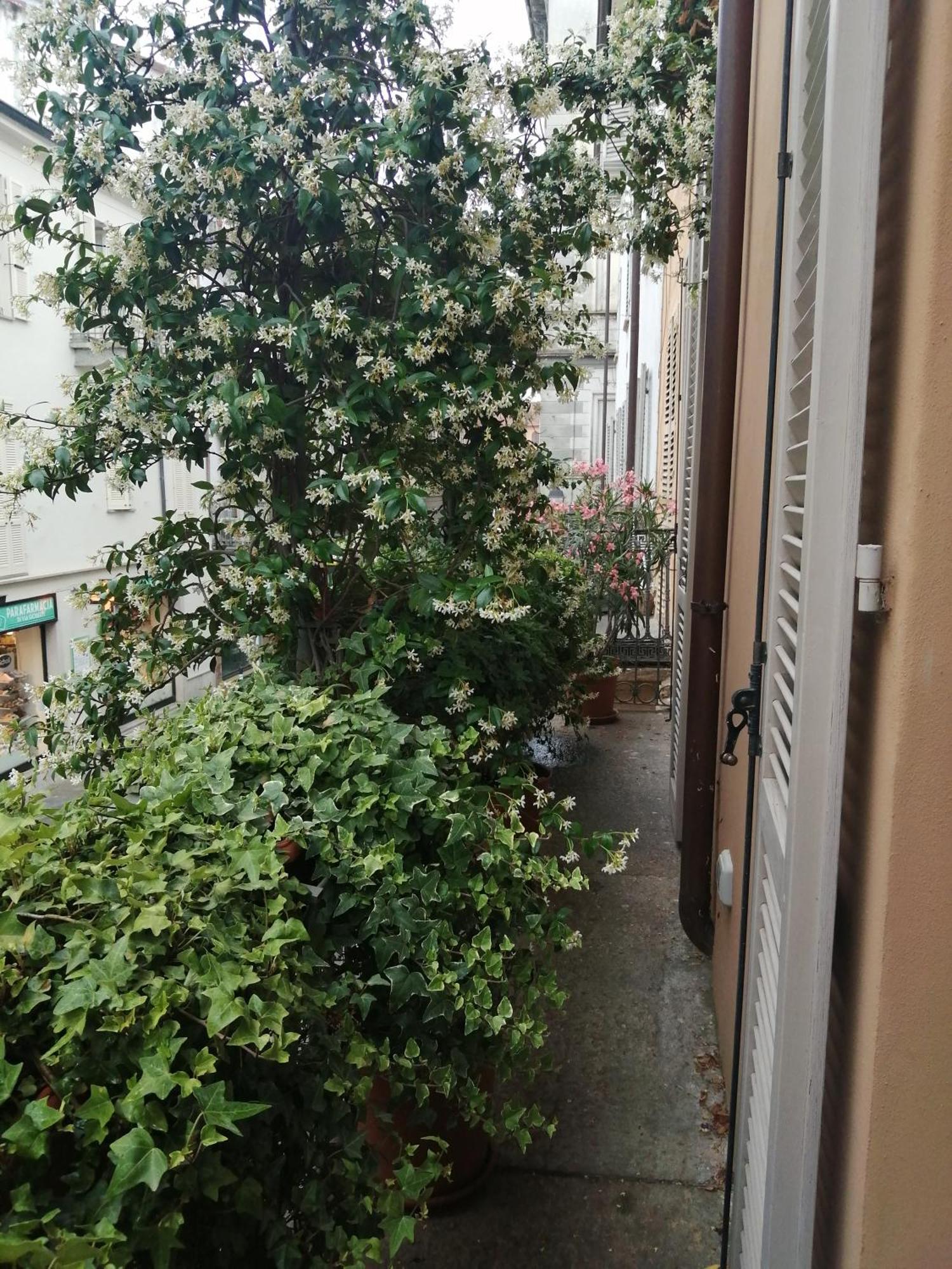 Le Melusine Vercelli Exterior foto